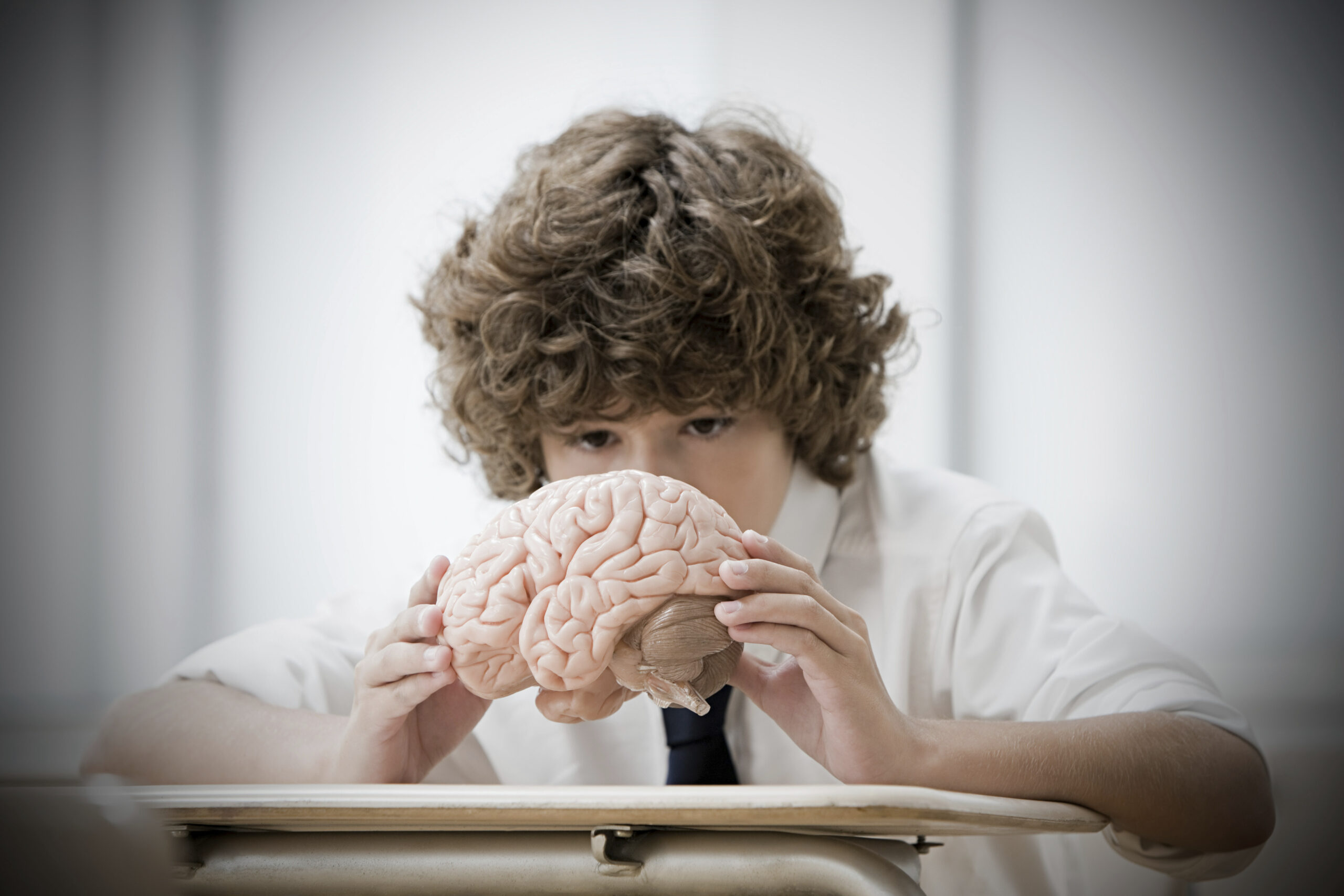 Psicólogos en Torrejón de Ardoz - Niño examinando cerebro