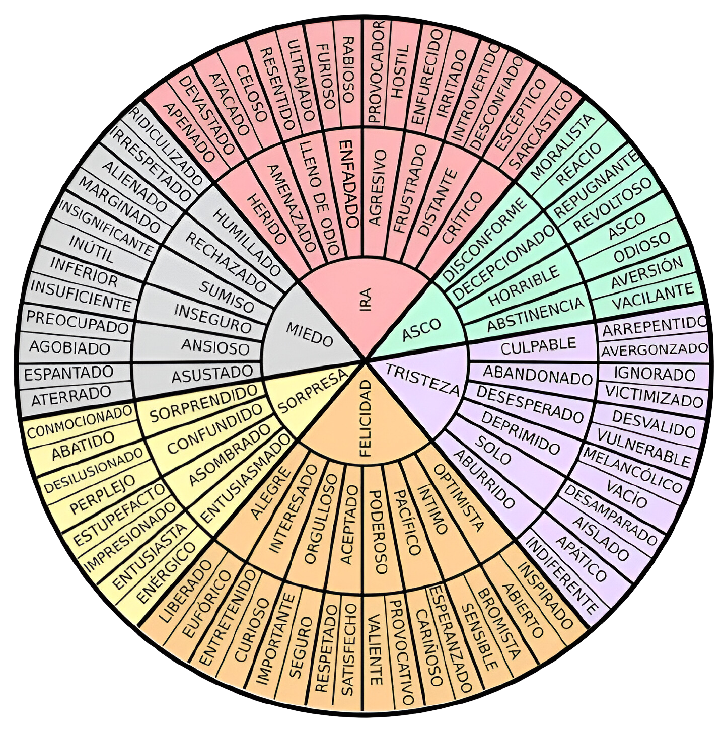 Rueda de las emociones con seis grupos: ira, asco, tristeza, felicidad, sorpresa y miedo, divididos en estados más específicos.